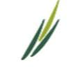 Logo Meristem Securities Ltd.