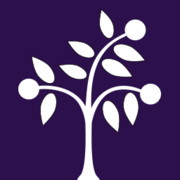 Logo Broadview Holding BV