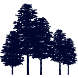 Logo Five Elms Capital Management LLC
