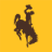 Logo The University of Wyoming Foundation