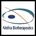Logo Alethia Biotherapeutics, Inc.