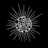 Logo Protozoa, Inc.