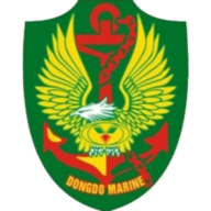 Logo Dong Do Marine JSC