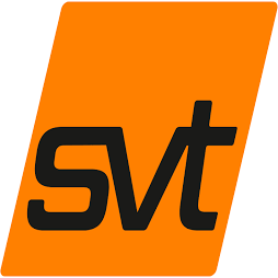 Logo svt Brandschutz Vertriebsgesellschaft mbH International