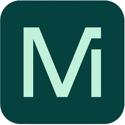 Logo Mint Payments Ltd.