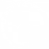Logo Dipylon Medical AB
