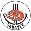 Logo Gulf Ferro Alloys Co. WLL
