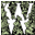 Logo Winston Brothers, Inc.