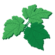 Logo Realty Landscaping Corp.