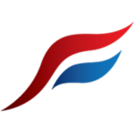 Logo Valley Forge Financial Group, Inc.