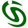 Logo Network Consulting Services, Inc.