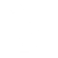 Logo Pegasus Laboratories, Inc.