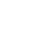 Logo The Dusable Museum of African American History, Inc.