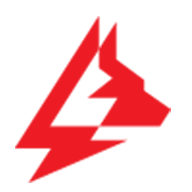 Logo Amarok LLC