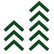 Logo Western Bio-Energy Ltd.