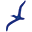 Logo Albatross Group Holdings Ltd.