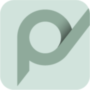 Logo PBS Holding AG
