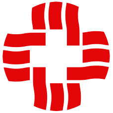 Logo Caritas International BV