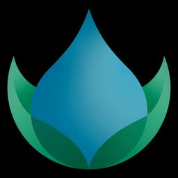 Logo SAR AS