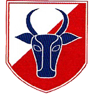 Logo Bucovina SA Scheia