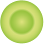 Logo Veritas NV