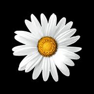 Logo Implenia France SA