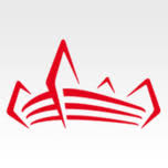 Logo Millennium Stadium Plc