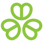 Logo Bed & Breakfast Homes of Ireland CLG