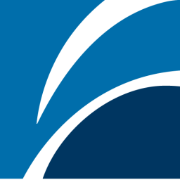 Logo Borealis Group