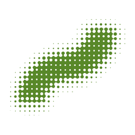 Logo naturstrom AG