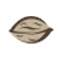 Logo Think Walnut Digital Pvt Ltd.