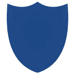 Logo ARMOUR Capital Management LP