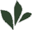 Logo Birla Kerala Vidhyashala Ltd.