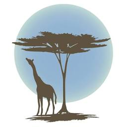 Logo The Zeitz Foundation I.E.S.