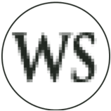 Logo Winning Strategies ITS