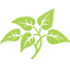 Logo J.R. McKenzie Trust