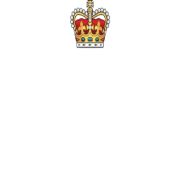 Logo The Royal Air Force Charitable Trust Enterprises