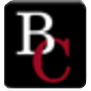 Logo Palm Beach Connection, Inc.
