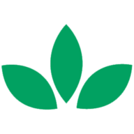 Logo Mint Condition Franchising, Inc.