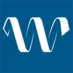 Logo The Wise Group Ltd.