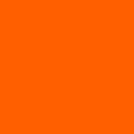 Logo LeoNovus, Inc.