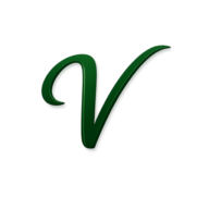 Logo Valore Italia Holding di Partecipazioni SpA