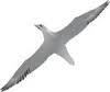 Logo Gannet Capital Pty Ltd.