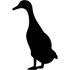 Logo TNK (2009) Ltd.