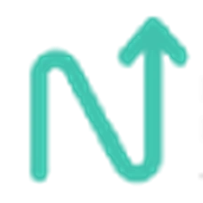 Logo Neurological Foundation of New Zealand