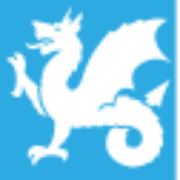 Logo Wyvern Partners Ltd.