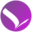 Logo Wings Infonet Pvt Ltd.