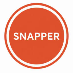 Logo Snapper Net Solutions AS