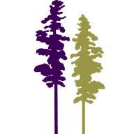 Logo Adirondack Financial Services Corp.