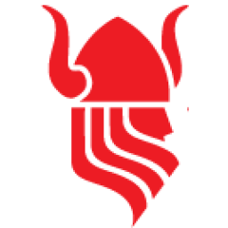 Logo Viking Services BV